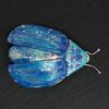 Insectos - Imagen 3